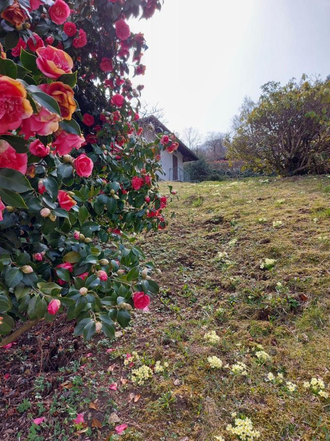 Villa La Casa Delle Camelie à Stresa Extérieur photo