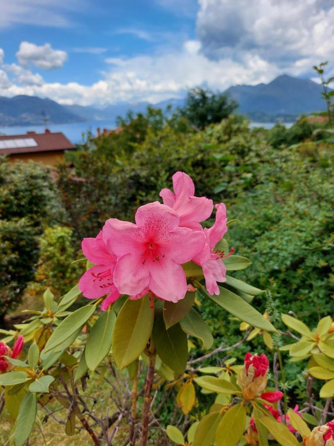 Villa La Casa Delle Camelie à Stresa Extérieur photo